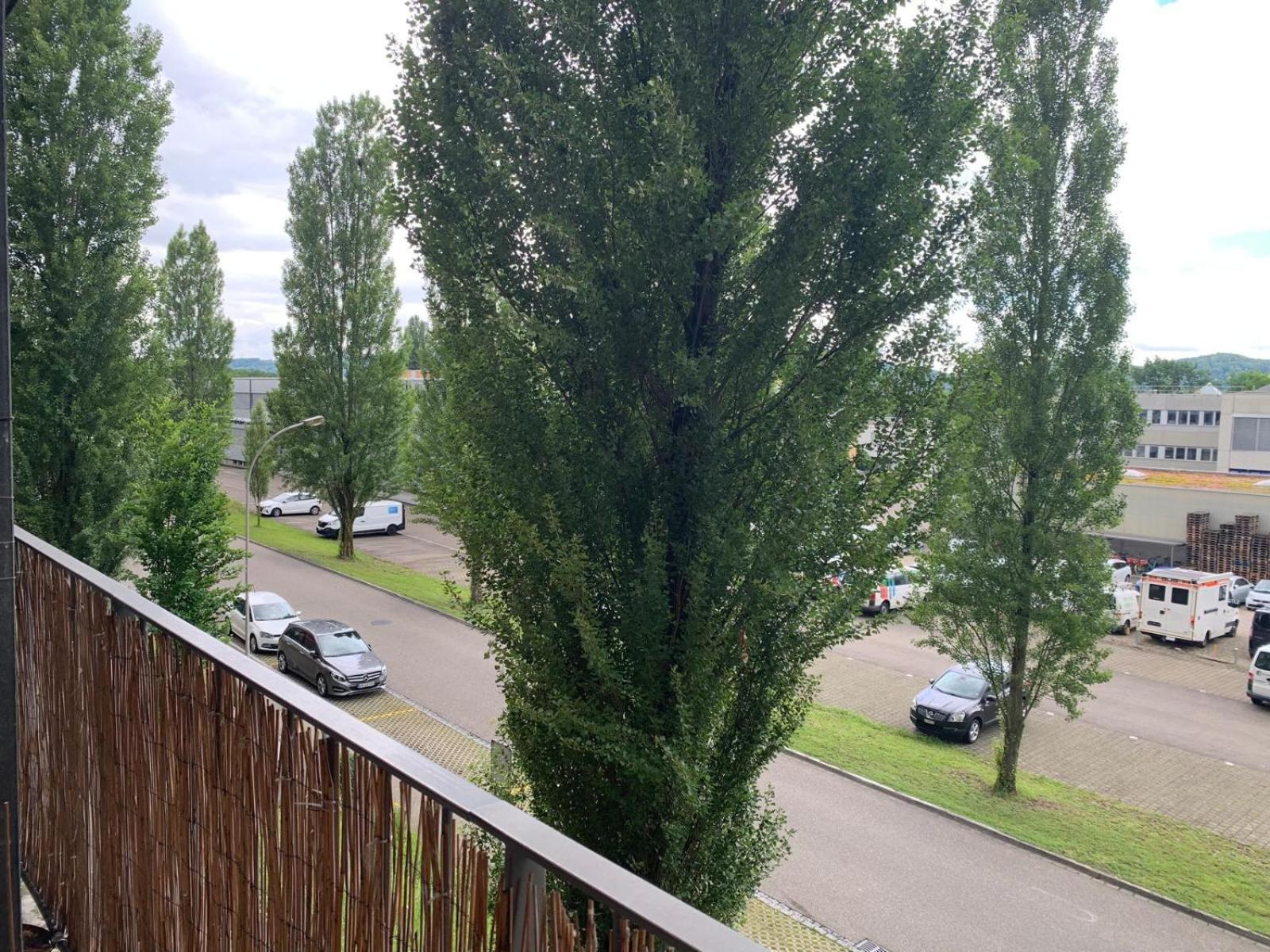 Rheinfelden Homestay Eksteriør billede